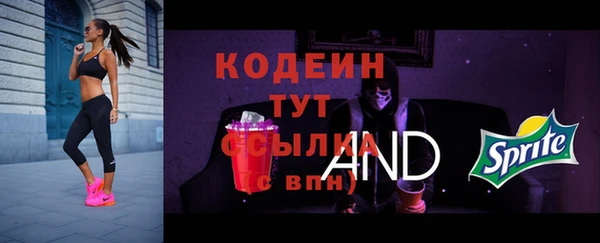 тгк Анива