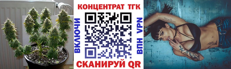 ТГК Wax Каргополь