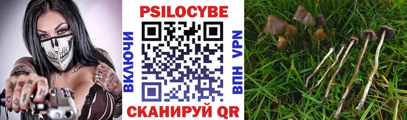 Галлюциногенные грибы GOLDEN TEACHER  ссылка на мегу ONION  Каргополь 